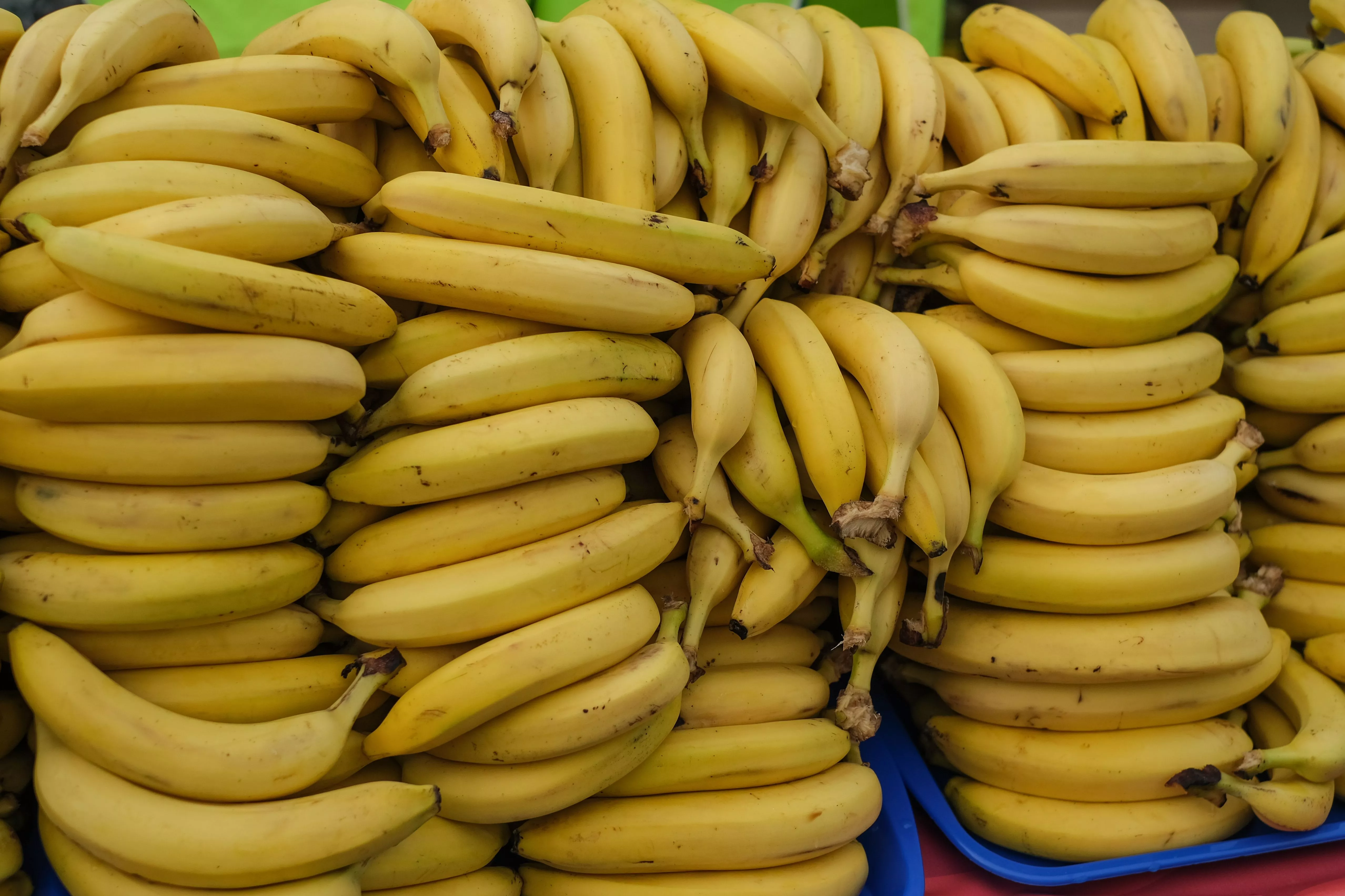 Эксперт оценил «банановый потенциал» Краснодарского края