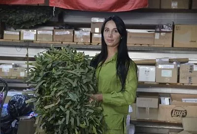 Все ближе к победе