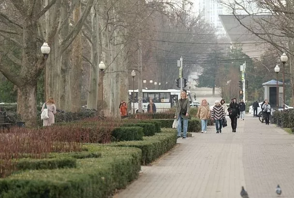 Температура воздуха на Кубани 29 января на шесть градусов превысит климатическую норму
