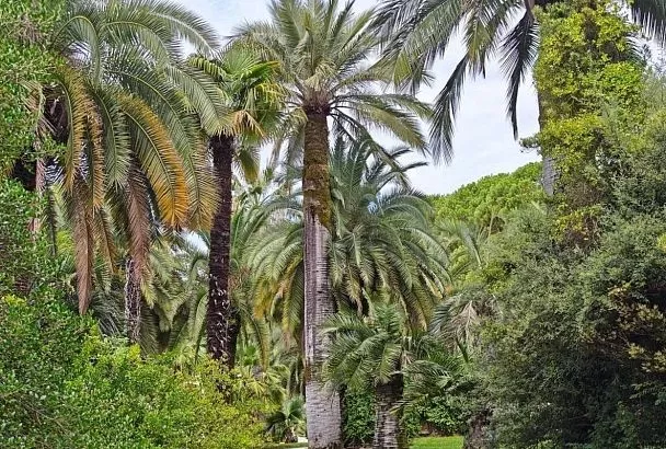 Сочинский нацпарк стал лидером по посещаемости заповедных территорий России