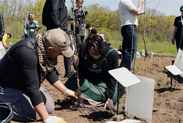 Курорт с долгим послевкусием: ГК ТОЧНО создает новый центр энотуризма на юге России