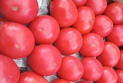 Томат не любит холод: как сохранить вкус летних томатов зимой