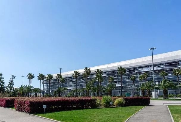 Путин поручил провести в Сириусе международный фестиваль искусств для детей и молодежи