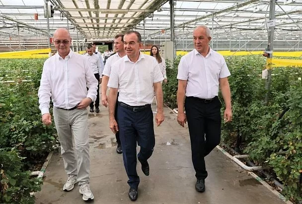 Губернатор Кубани Вениамин Кондратьев: «Розы из Мостовского района востребованы во многих регионах России»