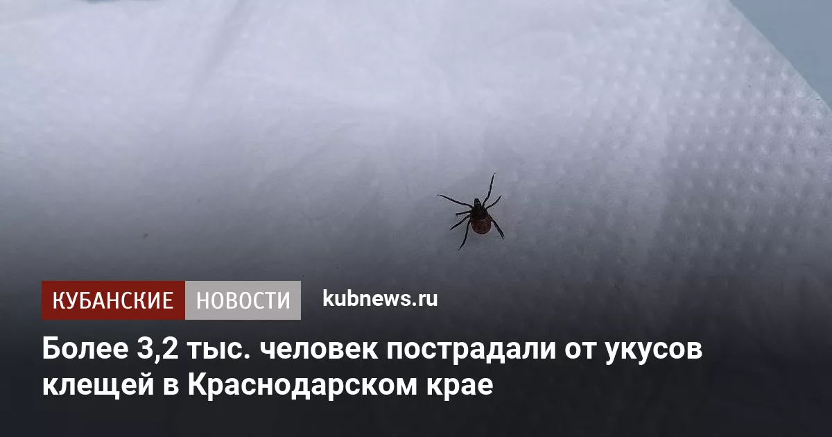 Более 3,2 тыс. человек пострадали от укусов клещей в Краснодарском крае