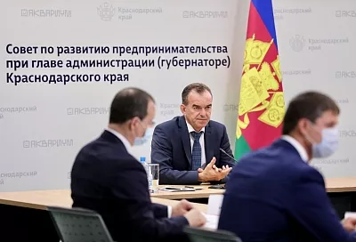 Кубанским предпринимателям вернут 100 процентов затрат при переходе на интернет-торговлю