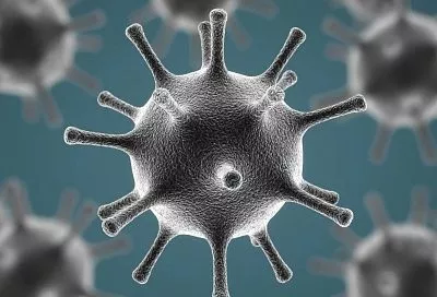 Аденовирус под микроскопом: почему его не стоит бояться больше гриппа