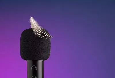 Артистам с иноязычными псевдонимами грозит запрет на использование бренда