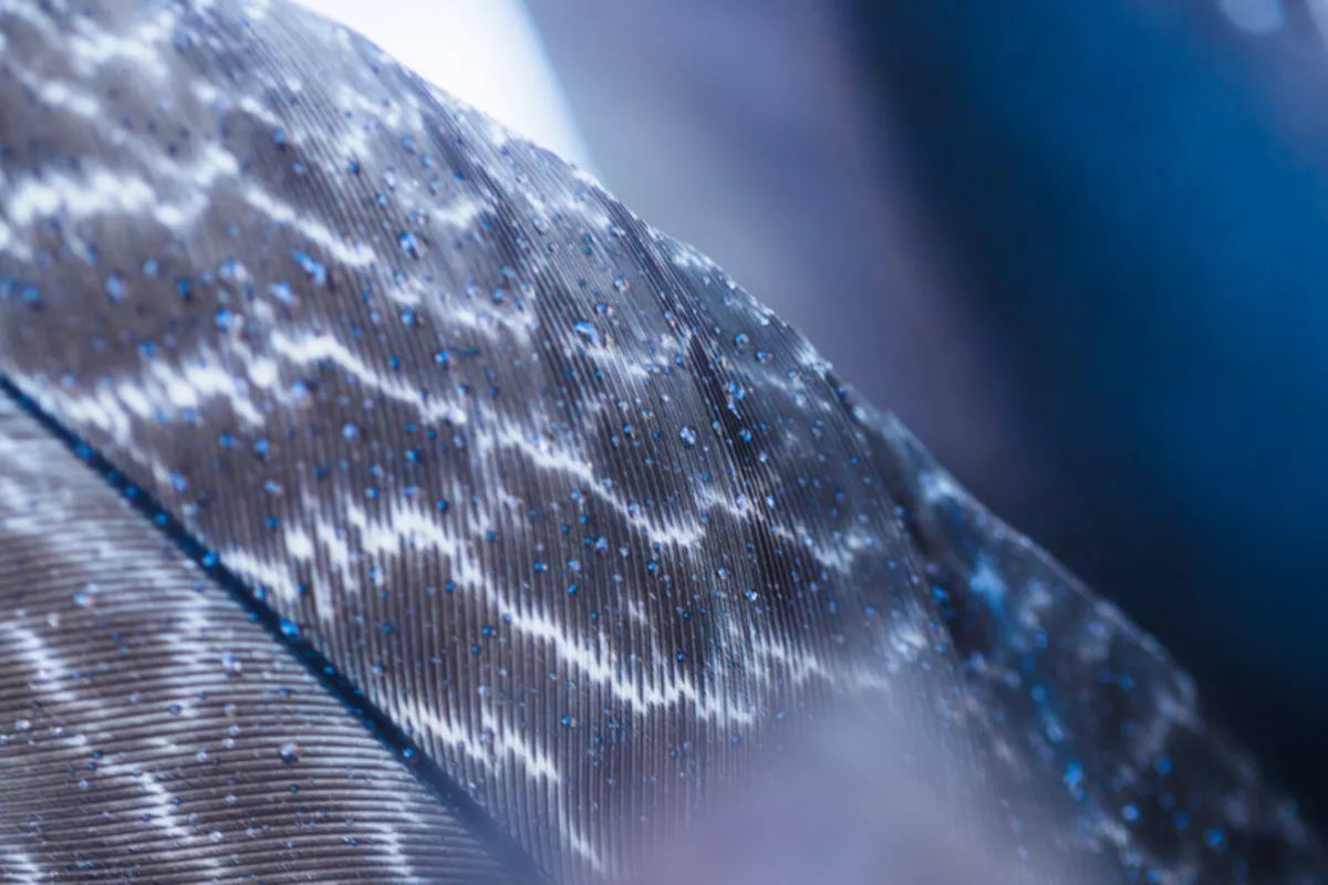 Ученые разработают радиационно-защитную ткань для космонавтов и плитки для космических аппаратов