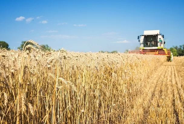 Экспорт несырьевой продукции АПК Кубани сократился на 8% в 2025 году
