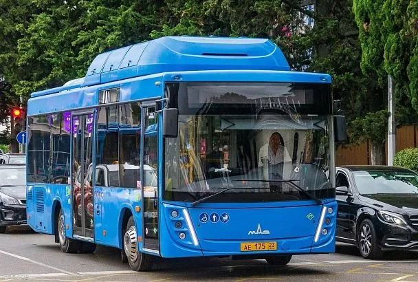 В Сириусе запускают новый автобусный маршрут 