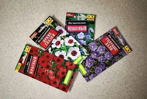 Сеем лен для красоты и пользы: вы даже не подозреваете, сколько есть видов этого растения