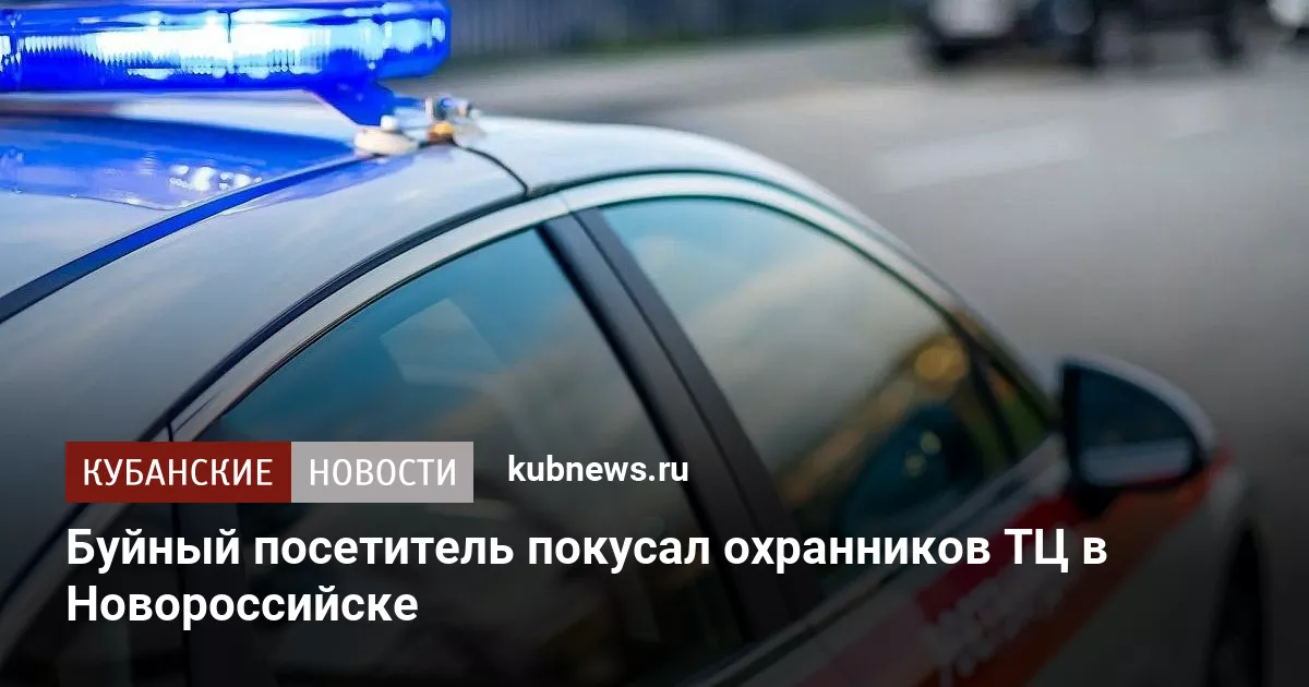Буйный посетитель покусал охранников ТЦ в Новороссийске
