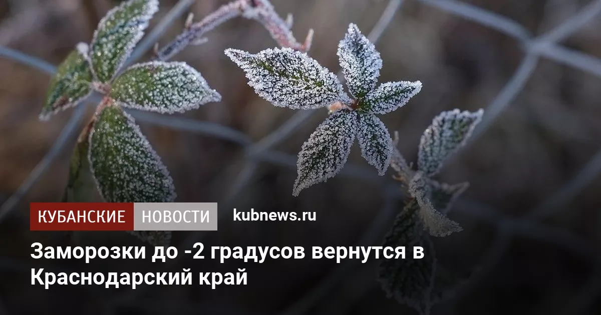 Заморозки до -2 градусов вернутся в Краснодарский край