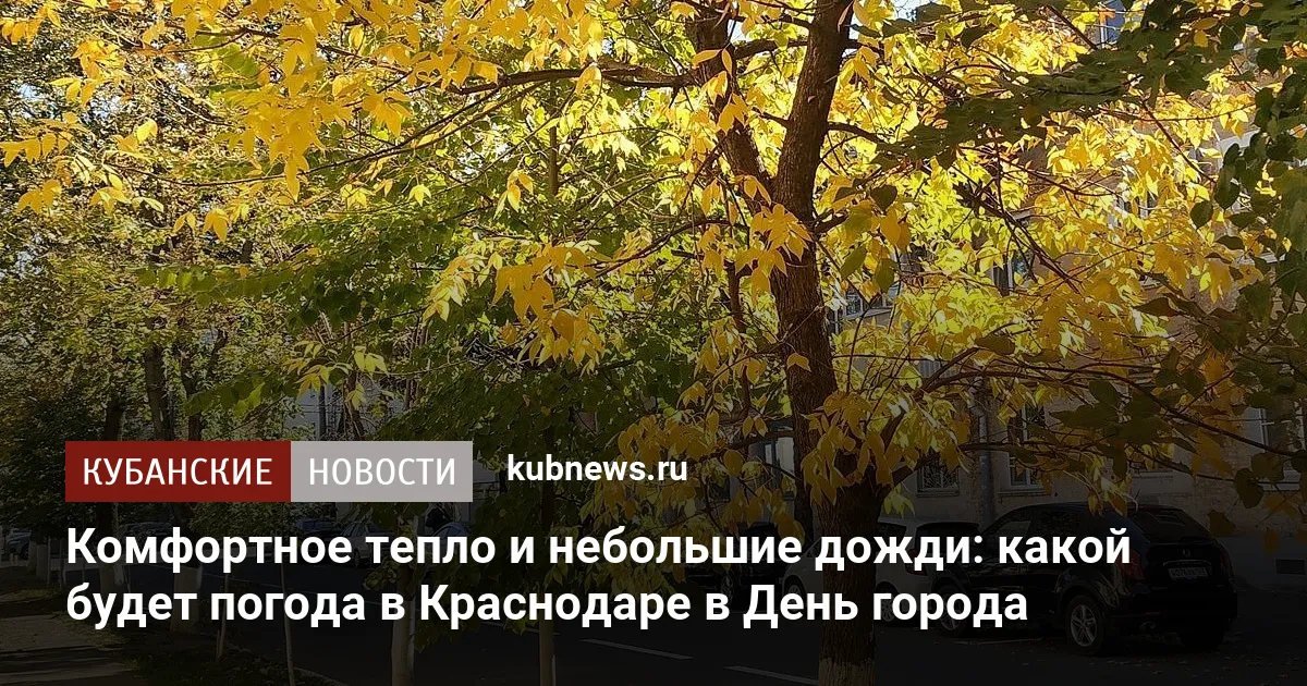 Комфортное тепло и небольшие дожди: какой будет погода в Краснодаре в День города