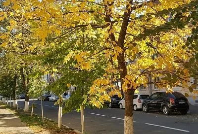 Комфортное тепло и небольшие дожди: какой будет погода в Краснодаре в День города