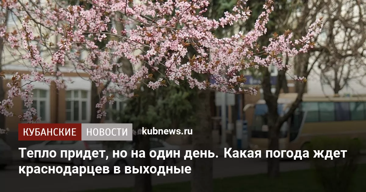 Тепло придет, но на один день.  Какая погода ждет краснодарцев в выходные
