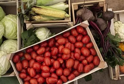 Экспорт продукции агропромышленного комплекса из Южного федерального округа в 2025 году вырос в 2,5 раза