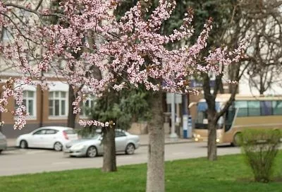 Тепло придет, но на один день.  Какая погода ждет краснодарцев в выходные