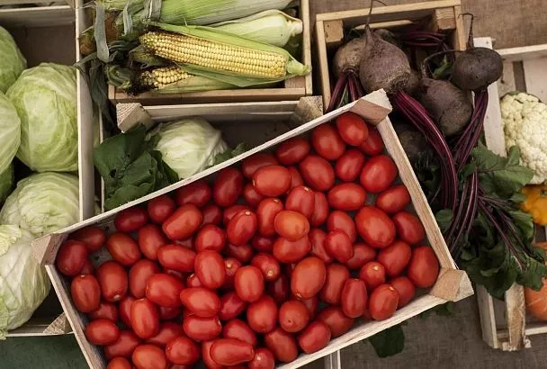 Экспорт продукции агропромышленного комплекса из Южного федерального округа в 2025 году вырос в 2,5 раза
