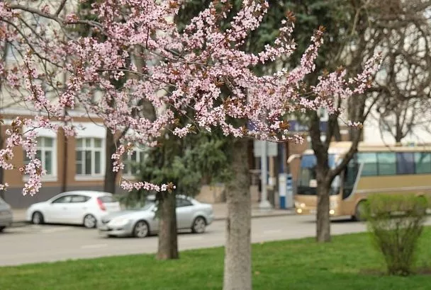 Тепло придет, но на один день.  Какая погода ждет краснодарцев в выходные