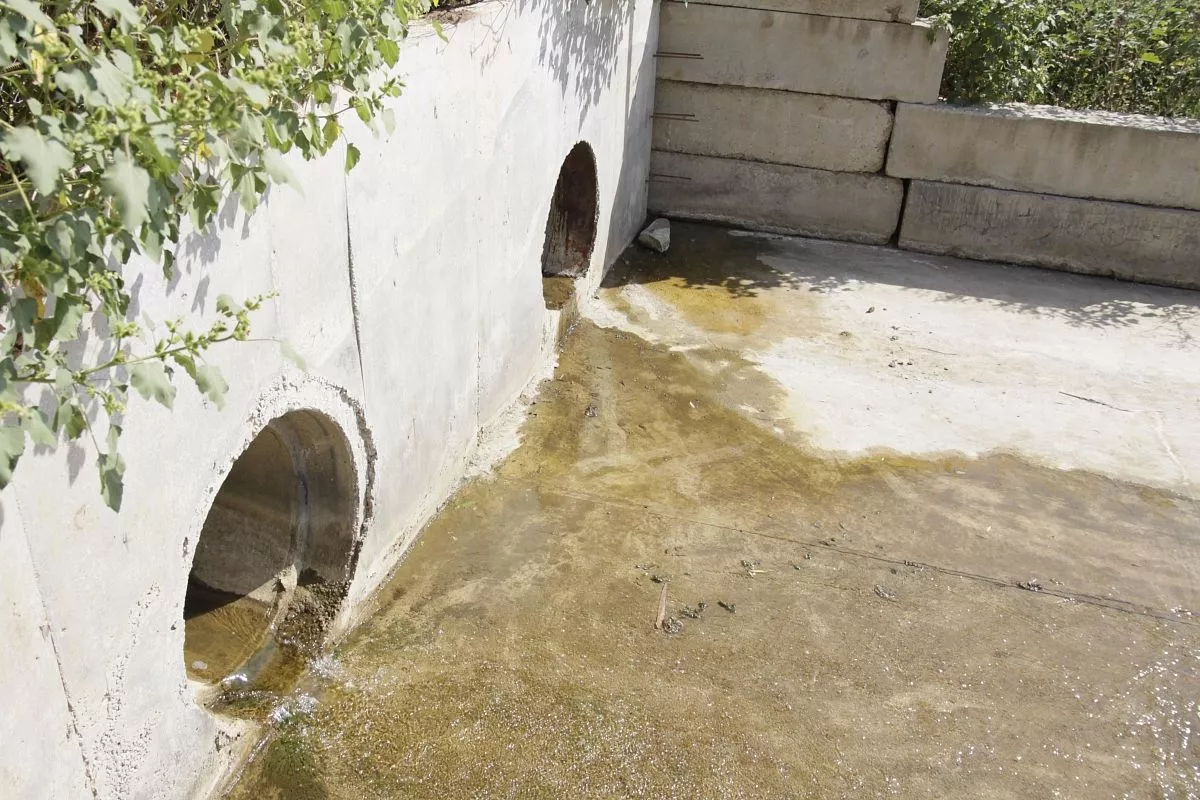 Восстановленная за счет вложенных инвестиций дамба пруда стала важнейшим ресурсом для развития прудового рыбоводства. Восстановленная за счет вложенных инвестиций дамба пруда стала важнейшим ресурсом для развития прудового рыбоводства.