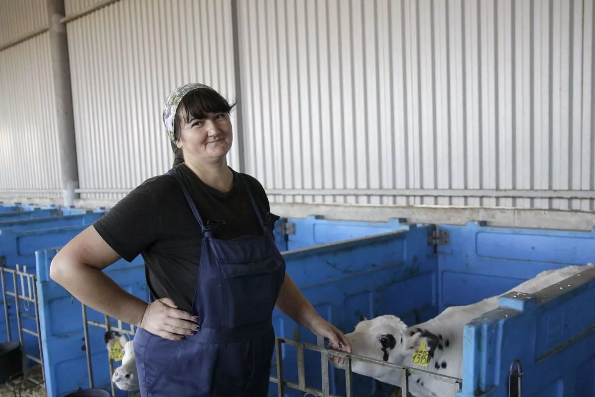 Телятница Анна Давыдова с любовью относится к своим подопечным.