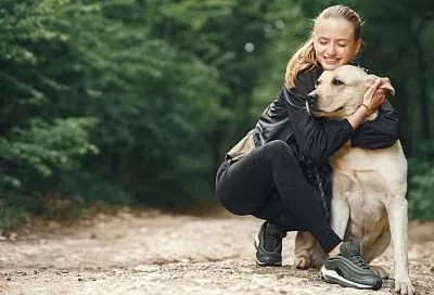 Седина в бороду и «беруши в ушах»: заметив эти признаки взросления у своего пса, будьте к нему снисходительнее - он уже старичок