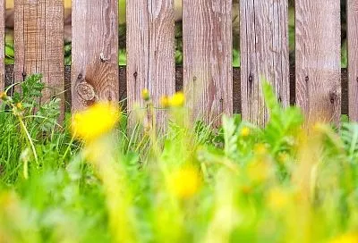 Заменил бетонные столбы простыми жердями – и они простоят вечность при этом условии: стройка без лишних трат