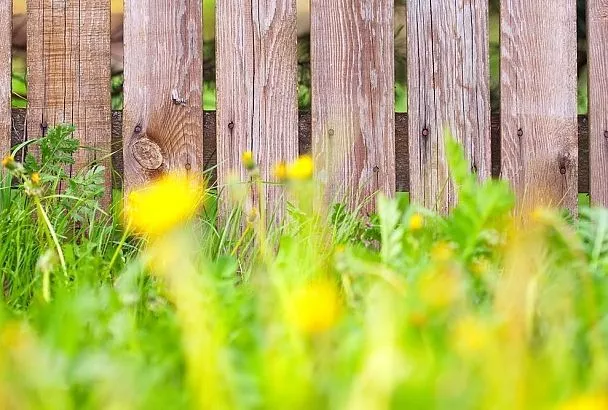 Заменил бетонные столбы простыми жердями – и они простоят вечность при этом условии: стройка без лишних трат