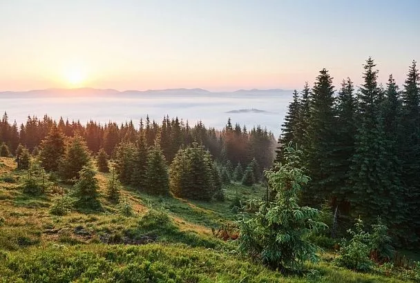 Сумма исков за ущерб экологии Кубани снизилась на треть в 2025 году