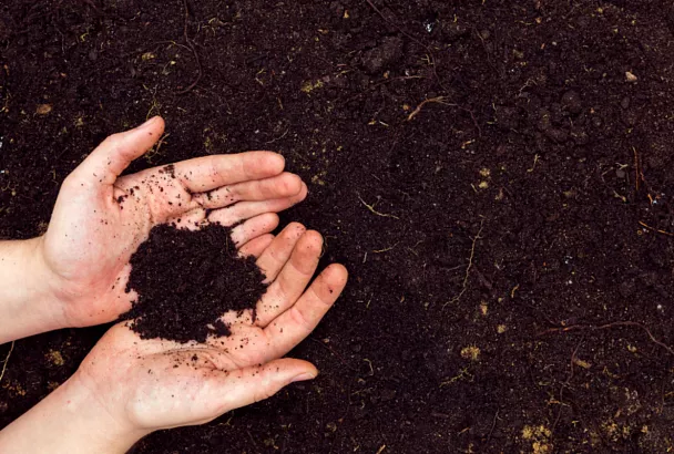 На Кубани утвердят правила севооборота для сохранения плодородия почв