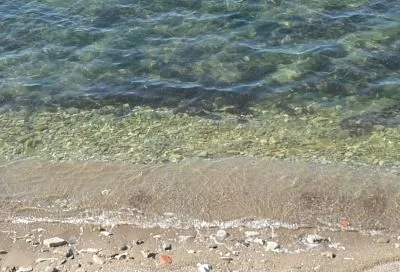 Загорают и купаются. В Геленджике 4 ноября продолжается пляжный сезон