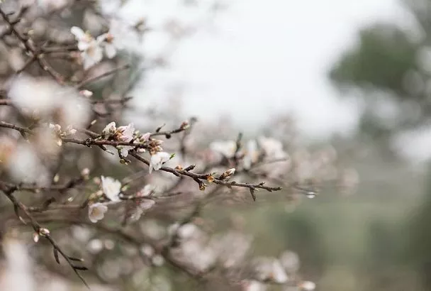 Народные приметы на сегодня – 6 апреля, что можно и нельзя делать в день Якова-Солнечника