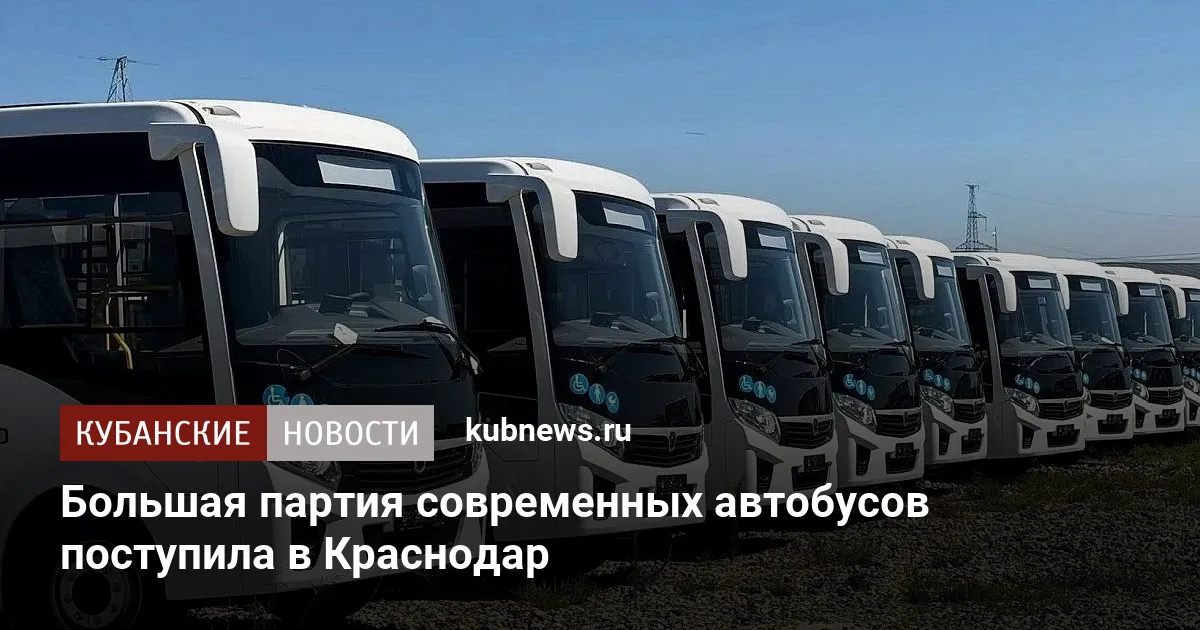 Большая партия современных автобусов поступила в Краснодар