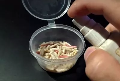 Опарыш для рыбалки своими руками: простой способ разведения за 2-3 дня – быстро и без затрат 