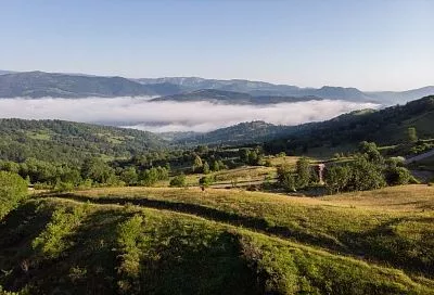 Минсельхоз включит Краснодарский край в программу зерновых интервенций