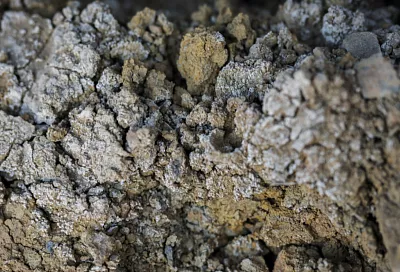 Арктические острова России могут стать новыми центрами добычи полезных ископаемых