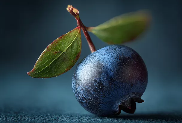 Как вырастить чернику у себя в саду: кислота и никакого навоза