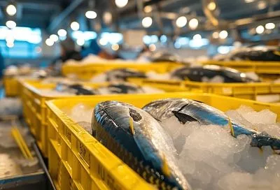 Российский экспорт рыбы и морепродуктов в Китай достиг 2,06 млрд долларов