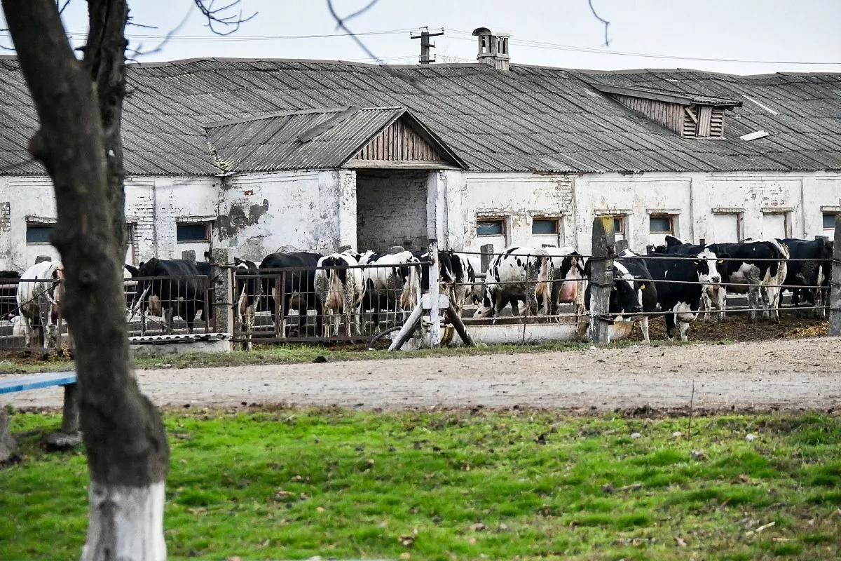 ФГУП "Кореновское"