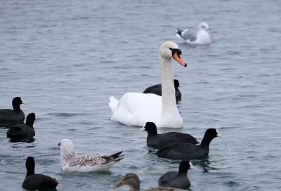 Города Краснодарского края вошли в топ-10 популярных направлений для туризма в 2026 году