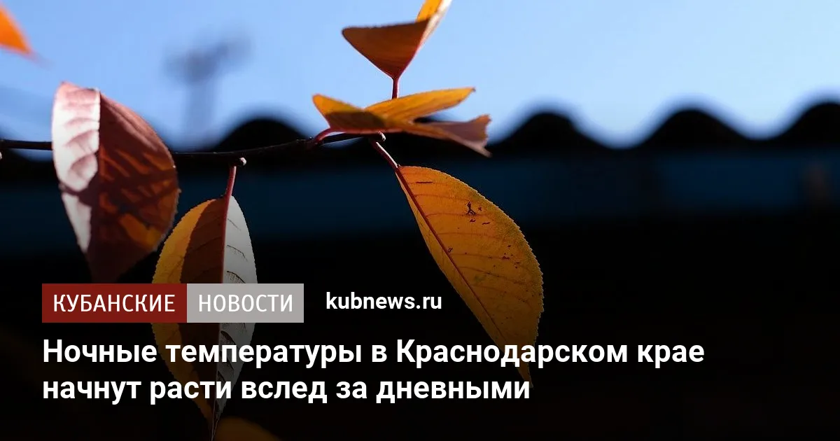 Ночные температуры в Краснодарском крае начнут расти вслед за дневными