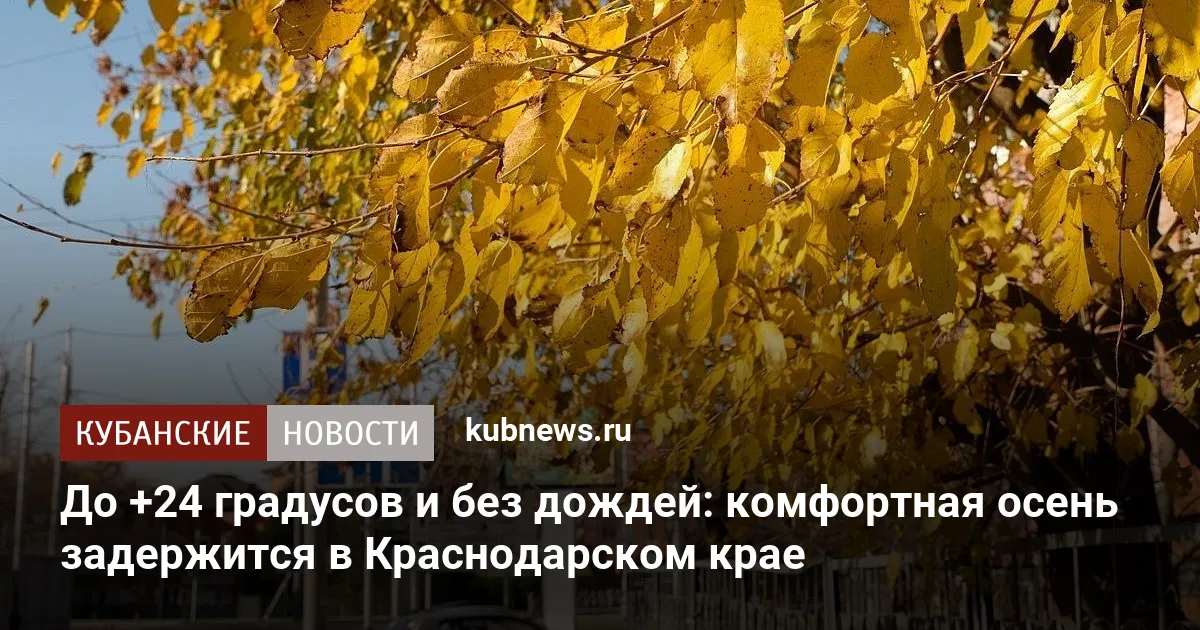 До +24 градусов и без дождей: комфортная осень задержится в Краснодарском крае