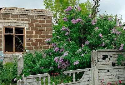 Жизнь среди смерти: цветы на руинах и подвиг 103-го полка