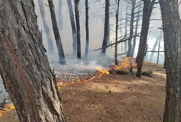 Лесной пожар под Геленджиком потушен