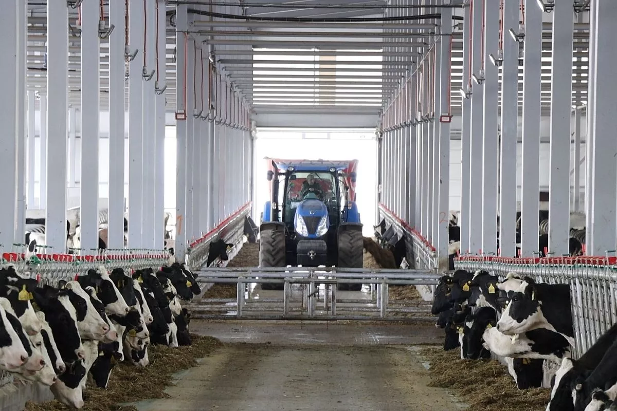 В Каневском районе построили современный молочный комплекс, которому нет аналогов в крае. В Каневском районе построили современный молочный комплекс, которому нет аналогов в крае.