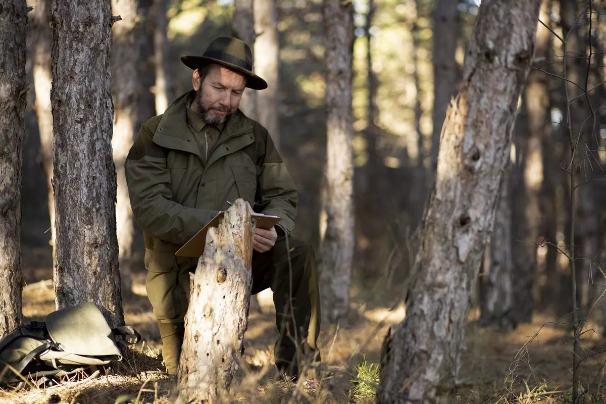 Минпромторг ужесточает правила для «приоритетных» лесных инвестпроектов