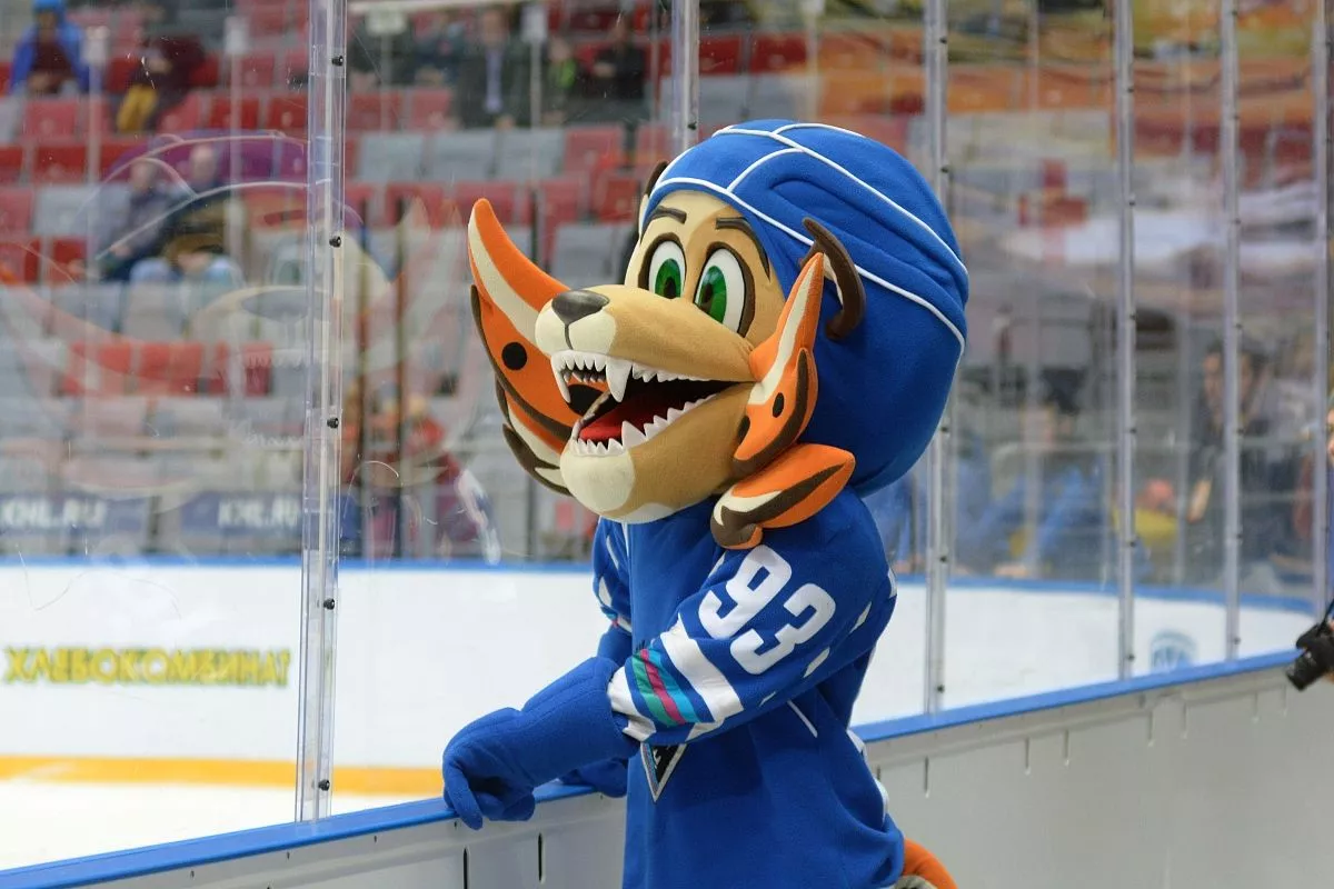 Леопард, как талисман, возник неслучайно: клуб сотрудничает с сочинским центром разведения и реабилитации переднеазиатского леопарда