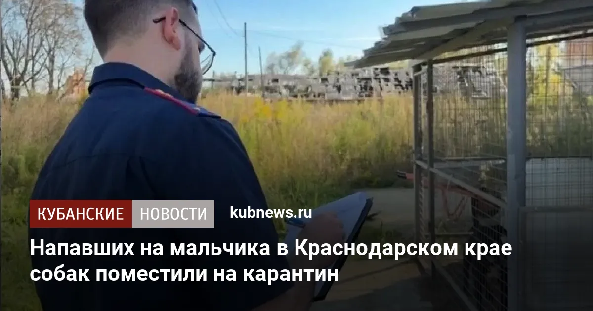 Напавших на мальчика в Краснодарском крае собак поместили на карантин